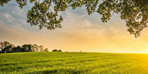 Mastering the First Impression: Your intriguing post title goes here services 03