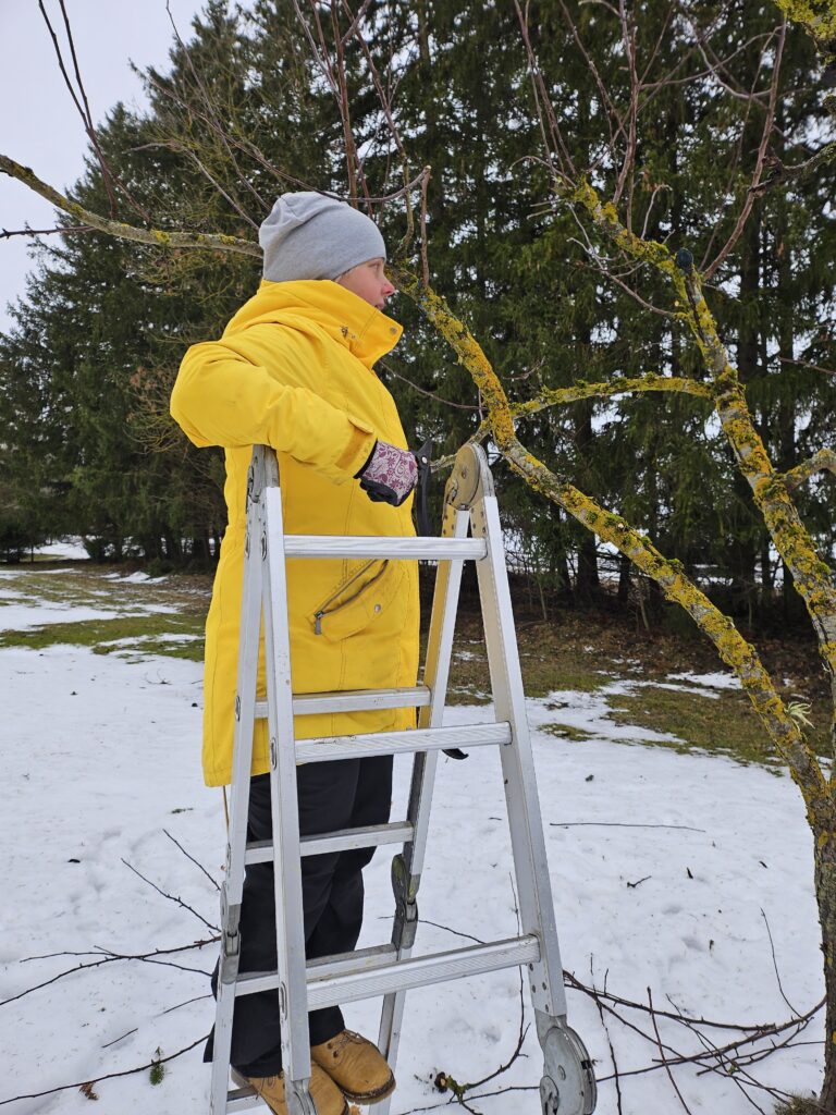 20250124 114003 768x1024