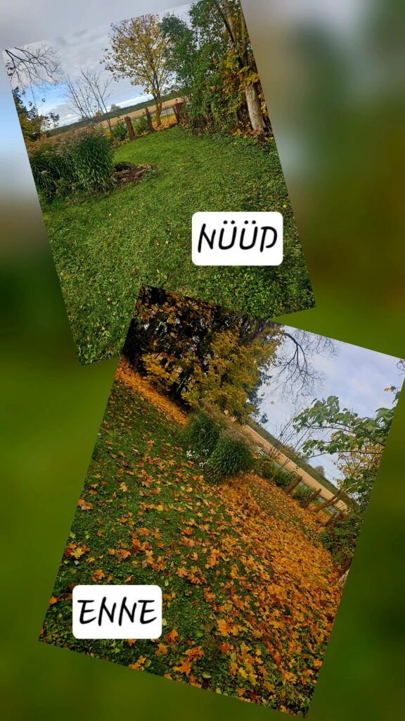 20251021 163359 576x1024